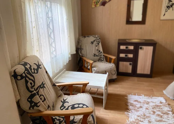 Madamme Curie Torrevieja