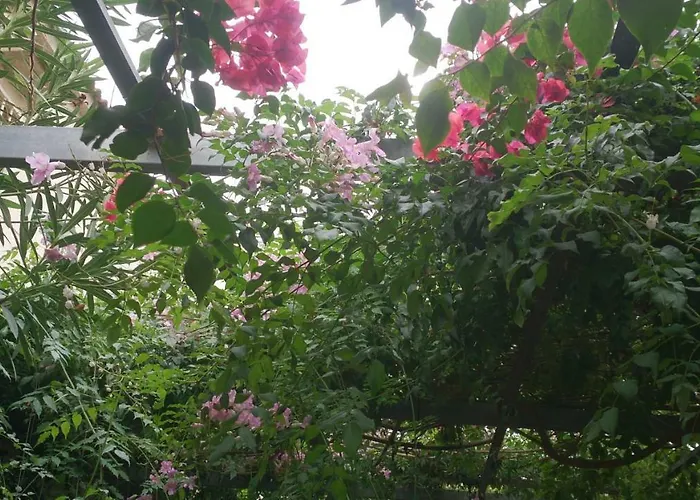 Madamme Curie * Torrevieja