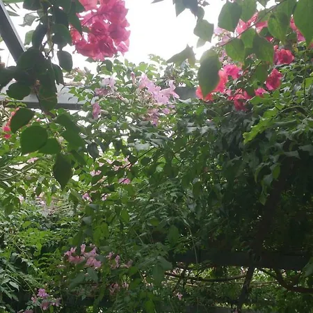 Madamme Curie * Torrevieja